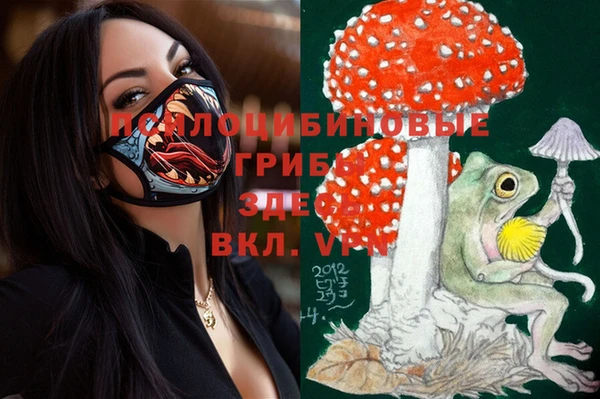 бошки Беломорск